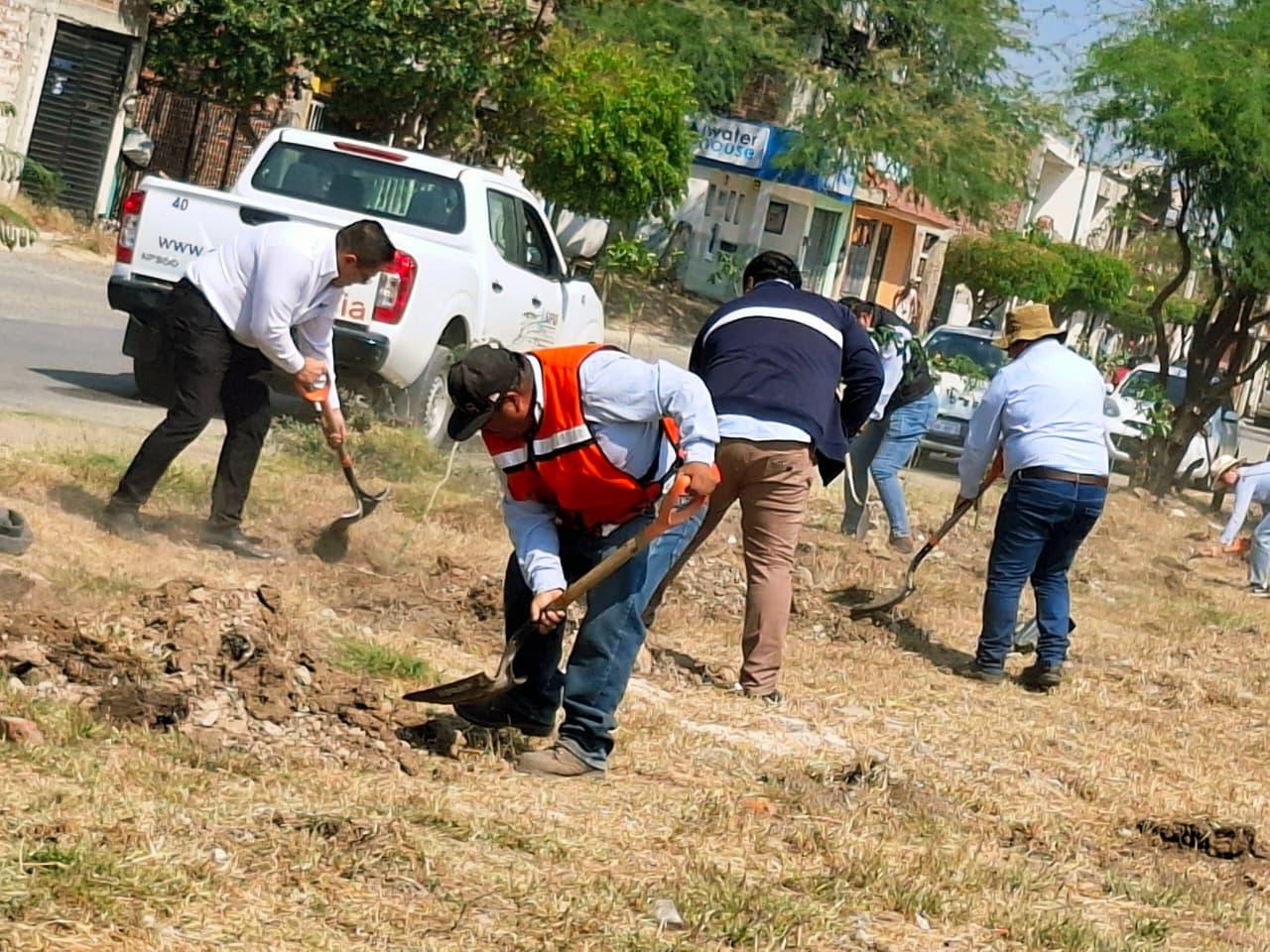 Planta SAPAS más árboles en el camellón del fraccionamiento San Bernardo